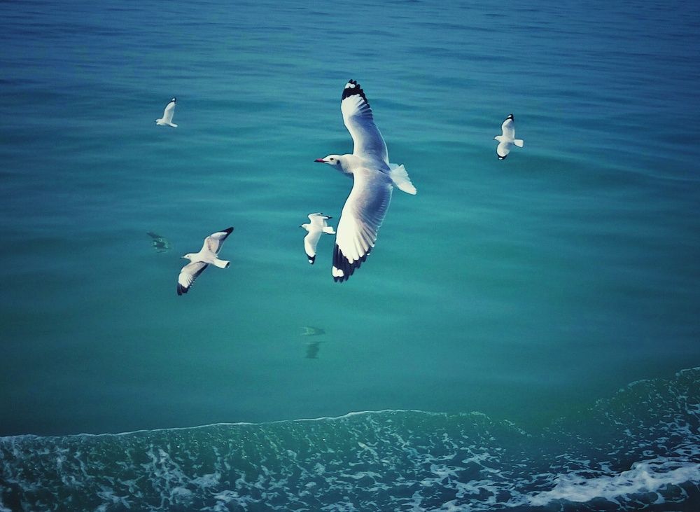 Saint-Martin's White Fairy