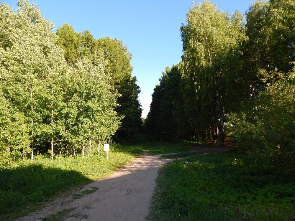 Дорога в рай