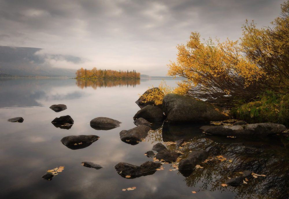 Золотой Сейд