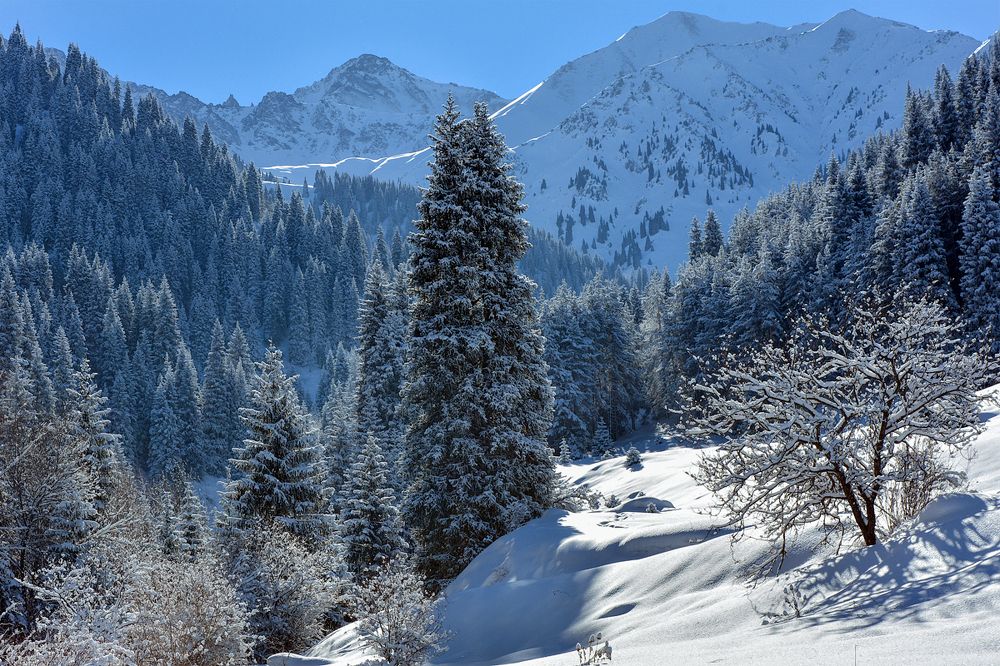 Песня в горах