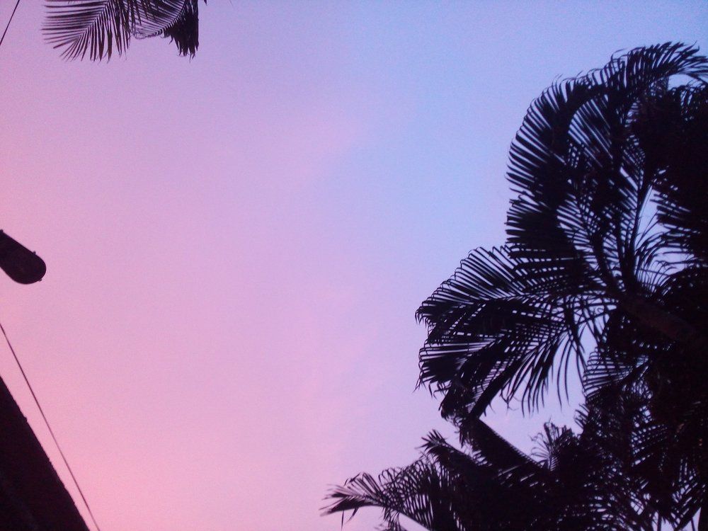 Shades of sky