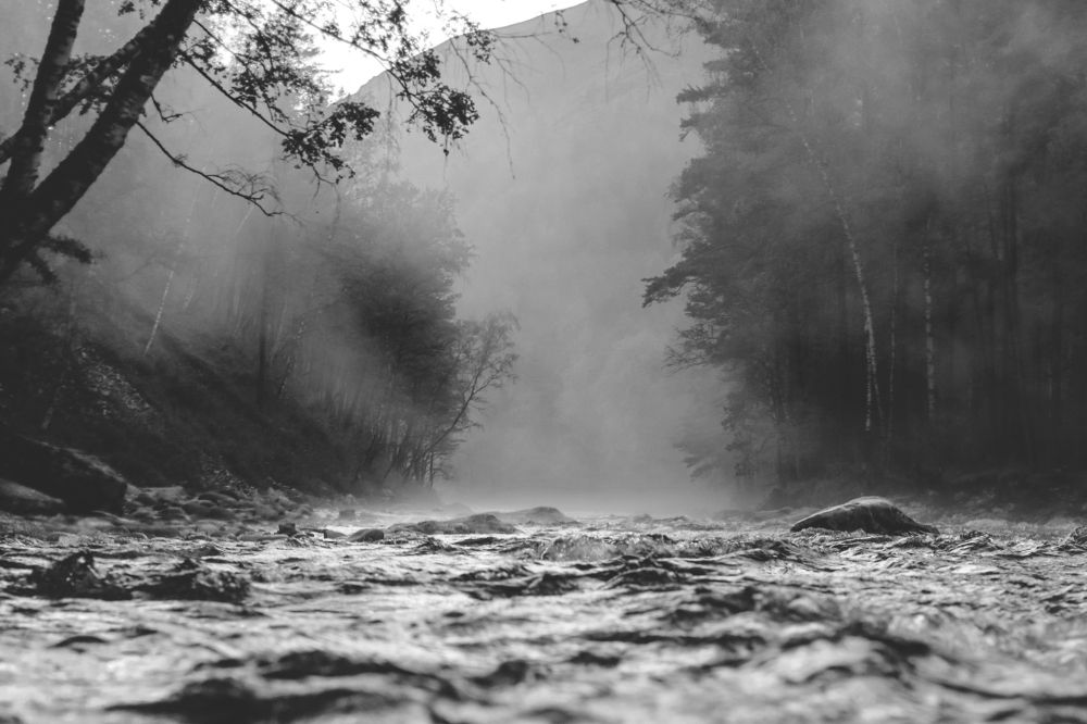 «Тайны Чемала»