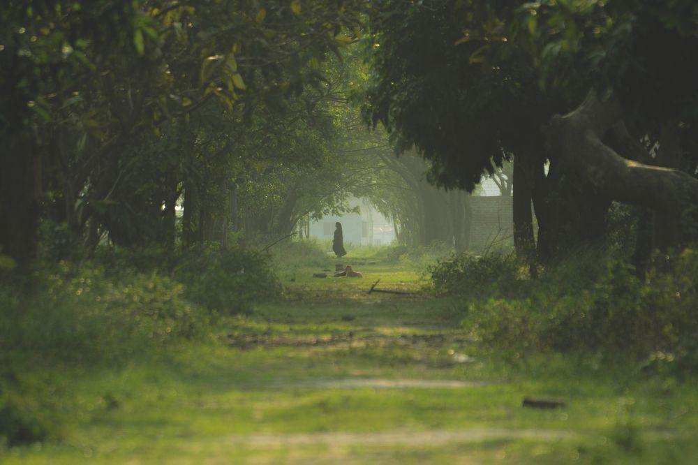 Grass covers the Street