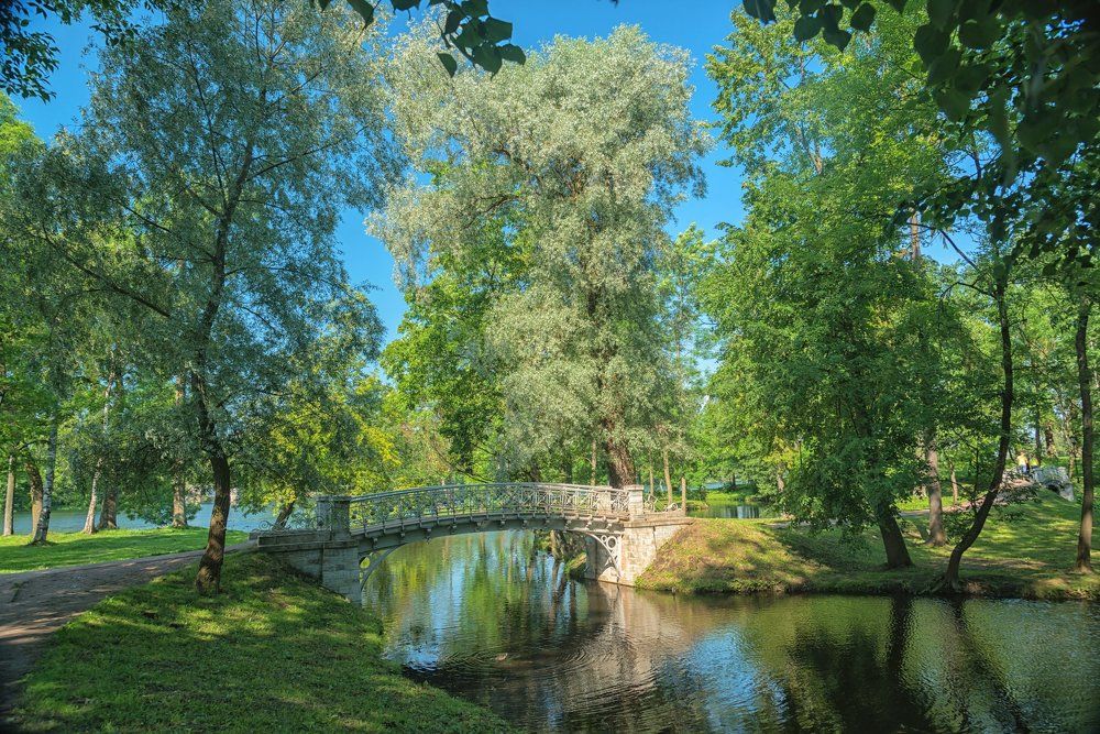 Утро в Гатчинском парке