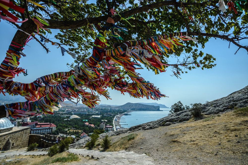 Дерево желаний