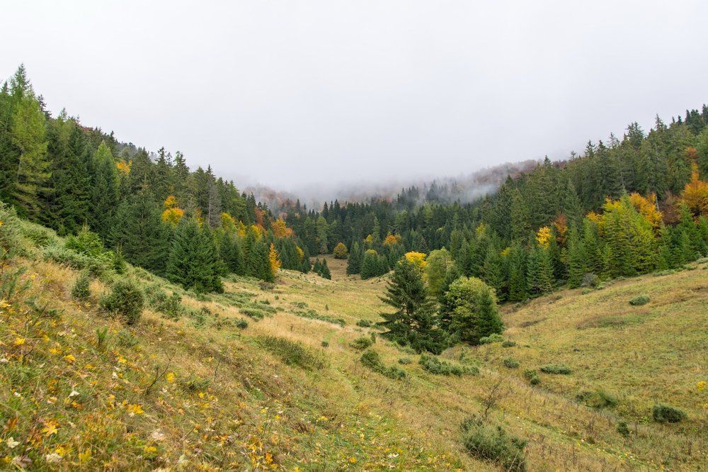 На границе чуда