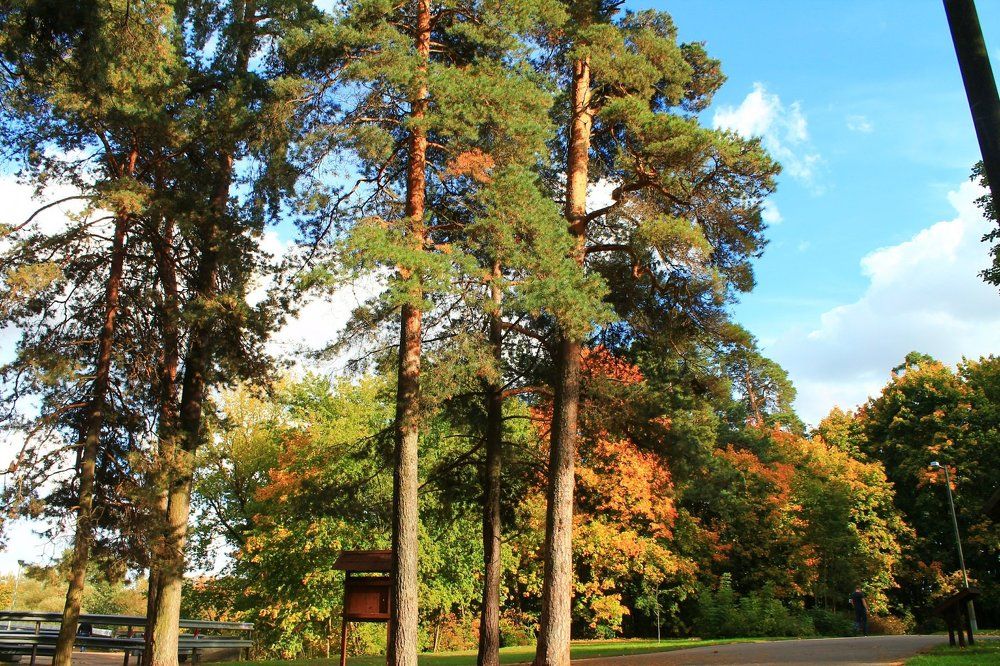 Фотография автора Алёна Лукачёва