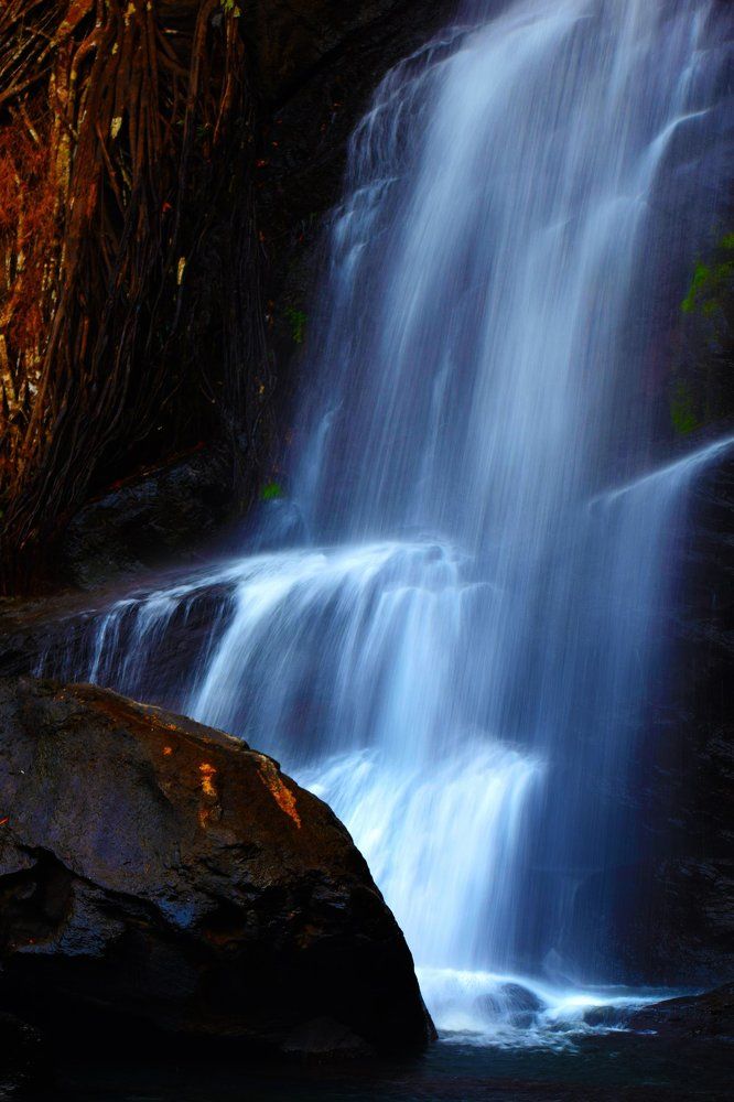 Photograph by Abhishek Kumar