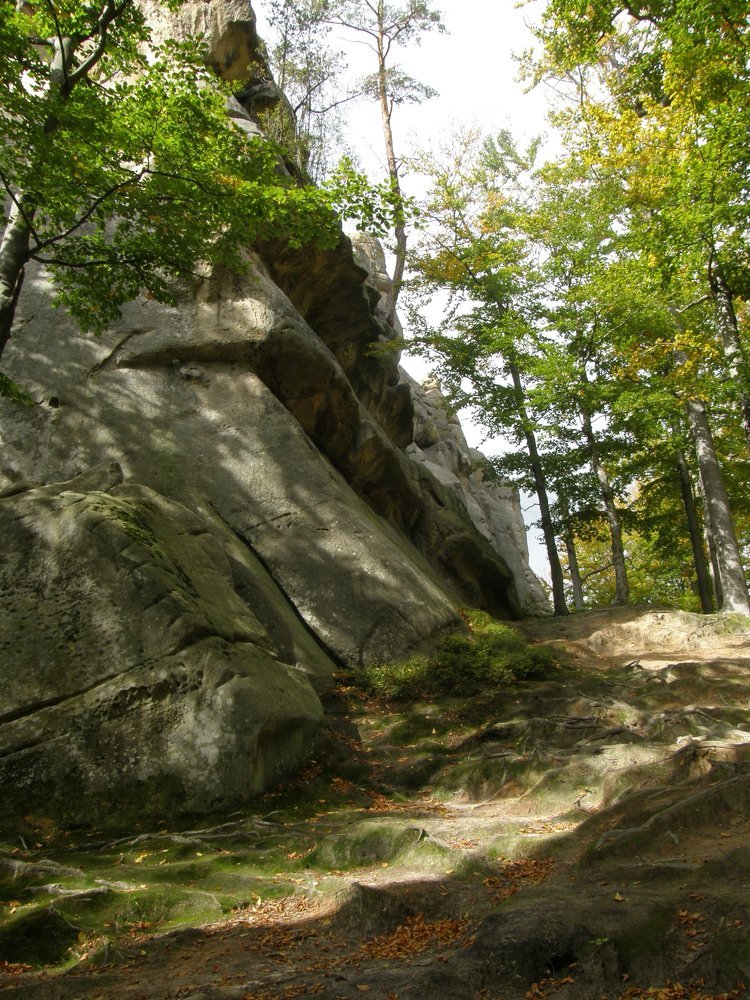 На пленере в Карпатах