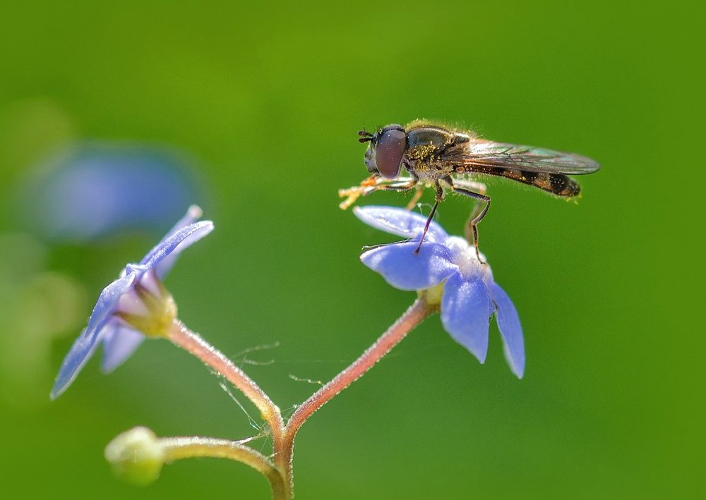 Photograph by Алексей Ладей