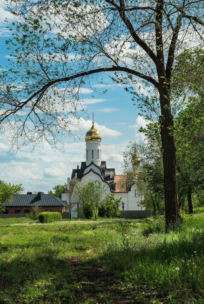 Летняя зарисовка