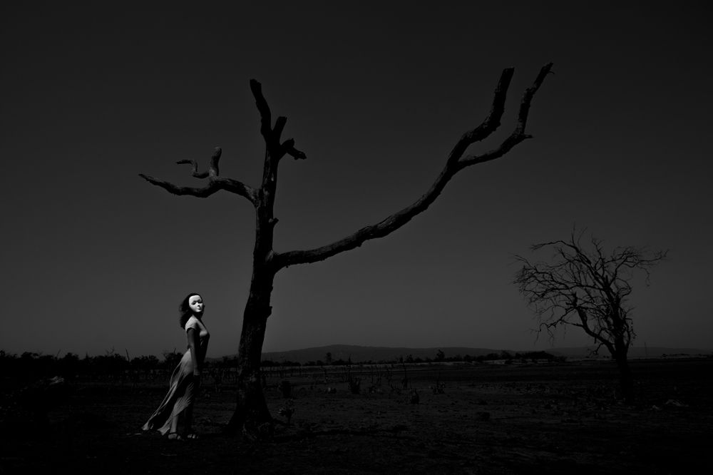 Photograph by Dattaram Gawade