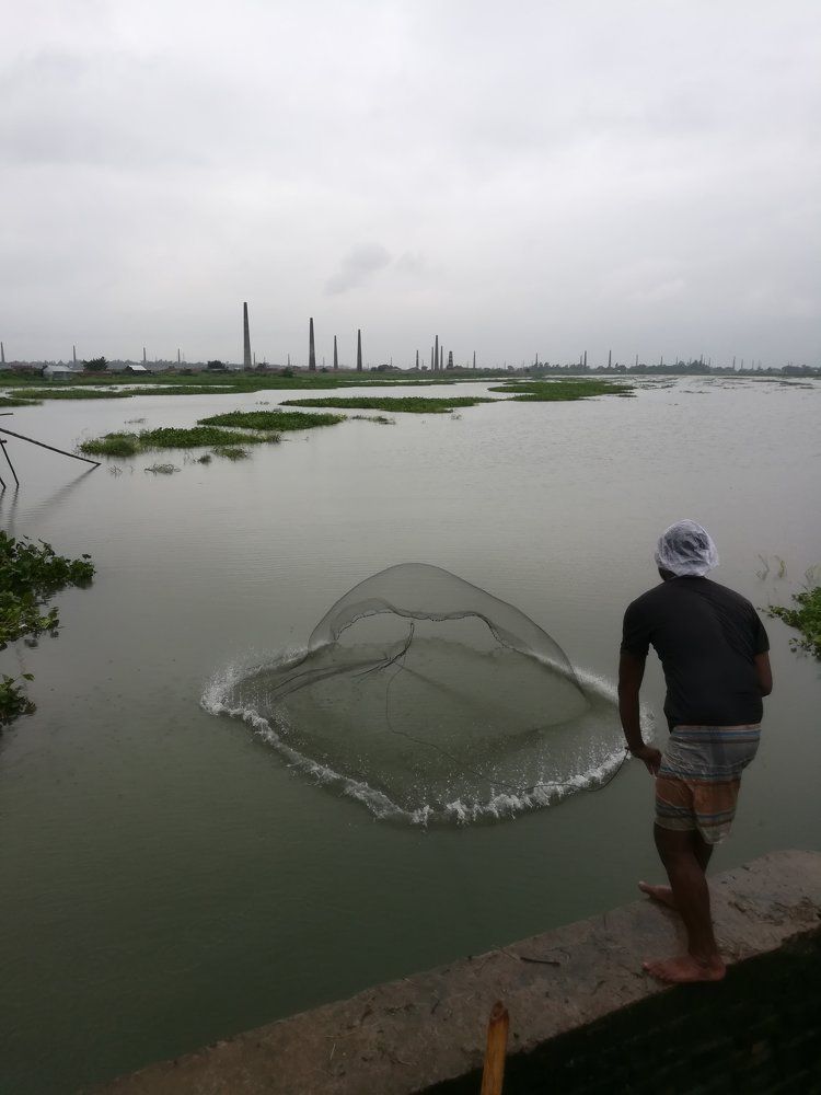 Catching  Fish  in canal of Bangladesh
