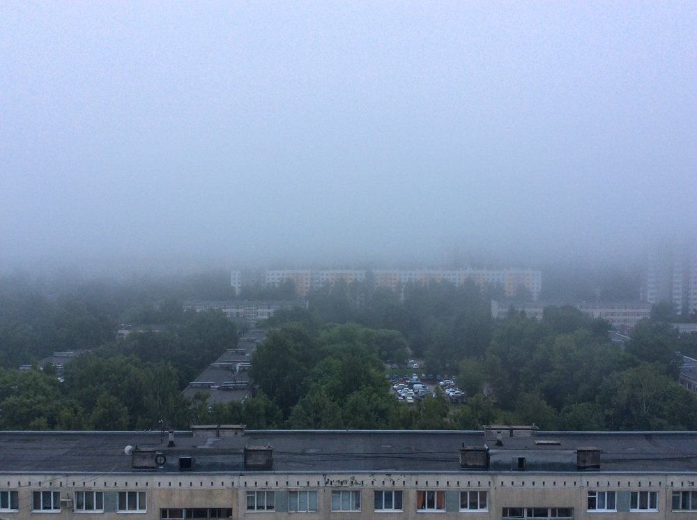 Туманная грусть