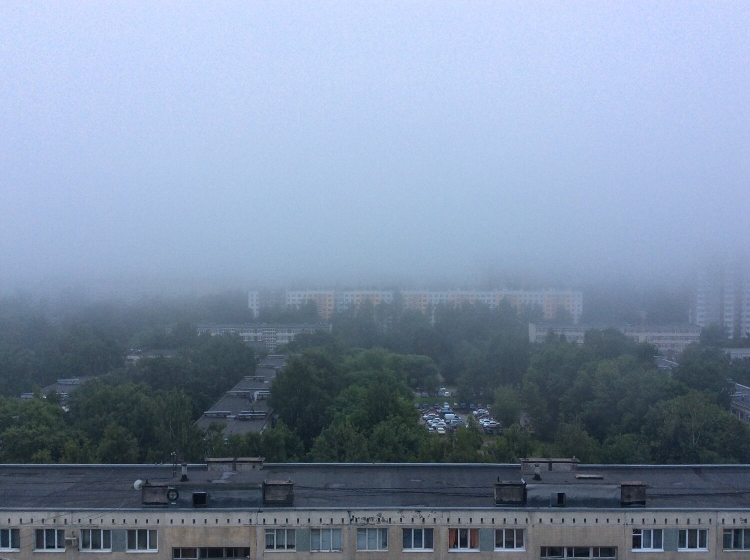 Туманная грусть