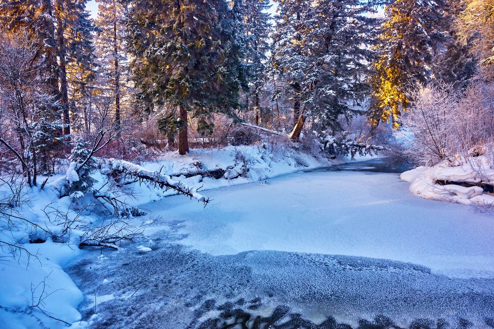 Снег и солнце