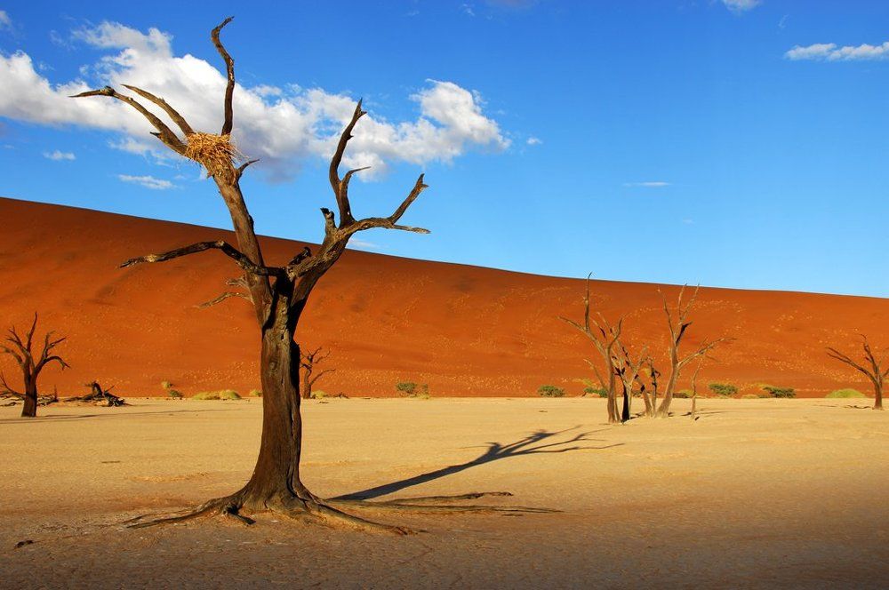 Photograph by Michael Thrower