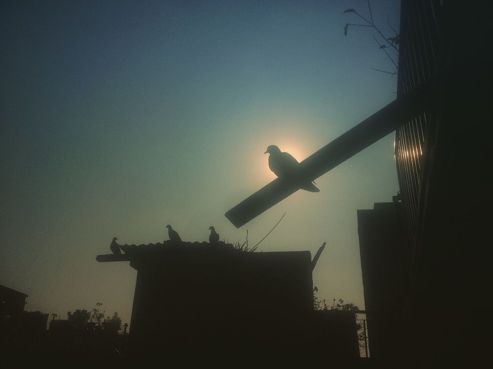 The morning after storm