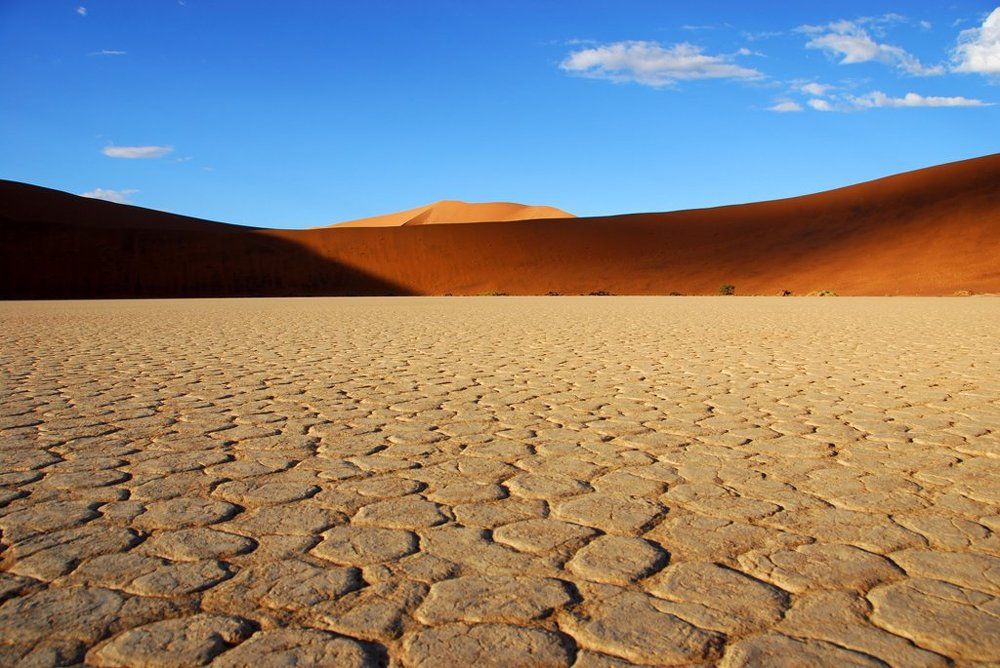 Photograph by Michael Thrower