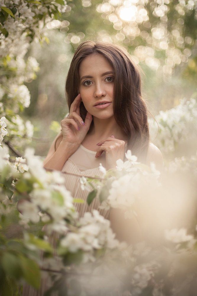 Яблонь цветение