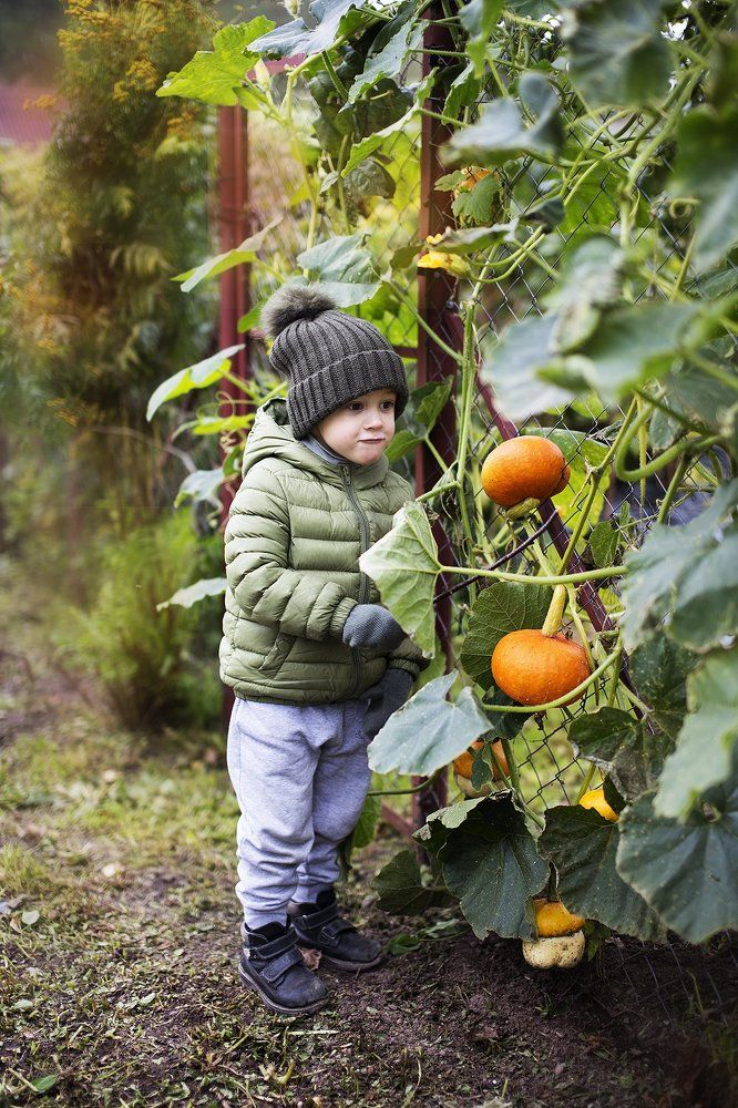 Дачный хулиганчик