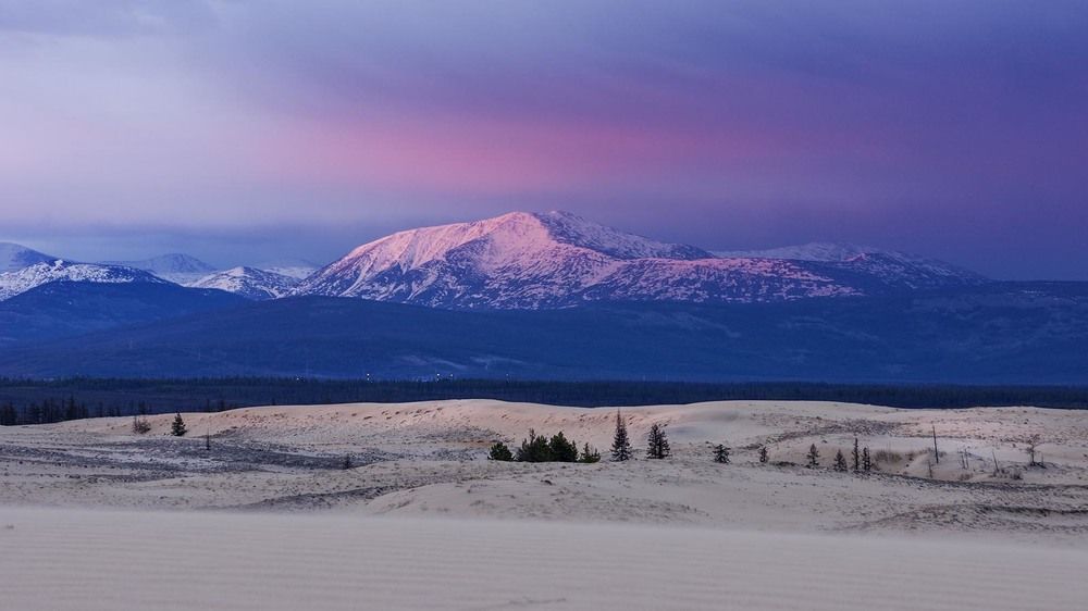 три в одном