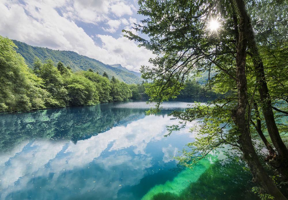 Яркий уголок