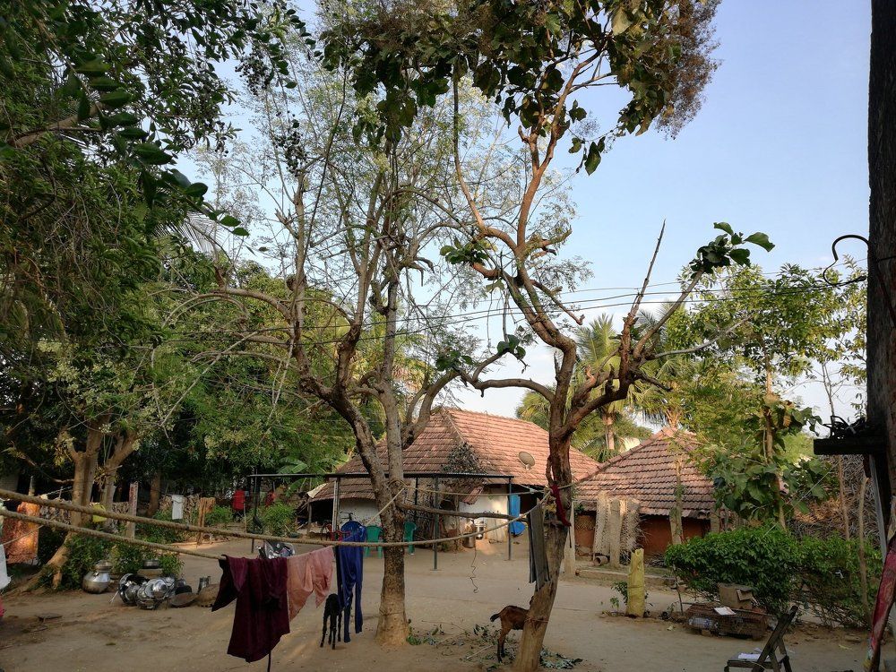 Village house