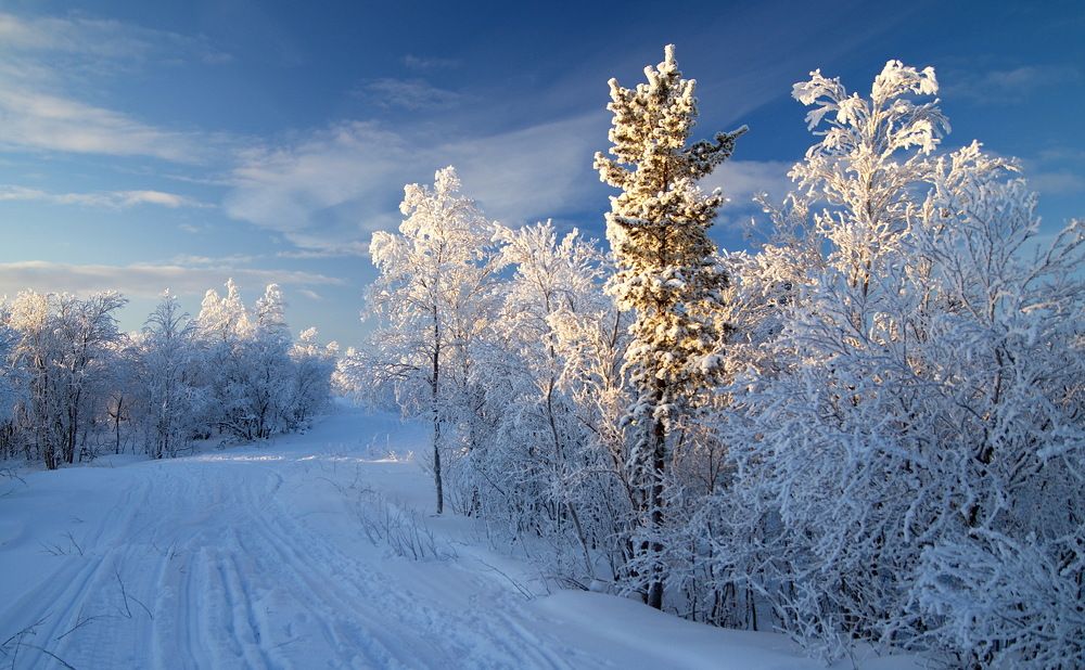 Первые лучи солнца.
