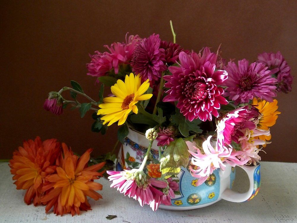 какая разница  - все  хороши