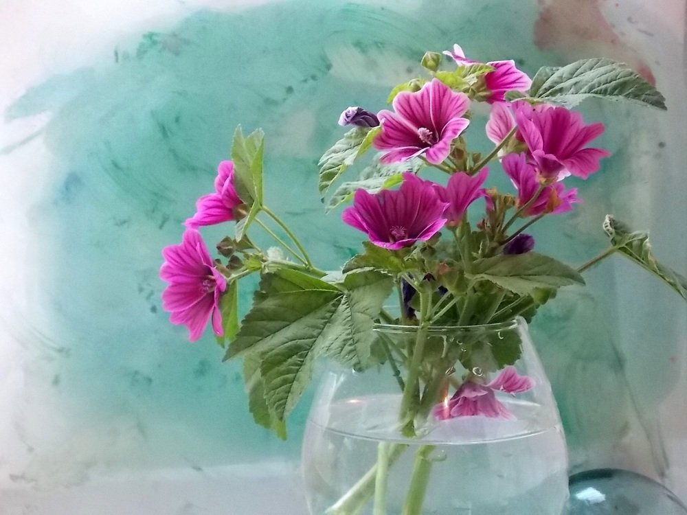 два цвета -картинка для обоев