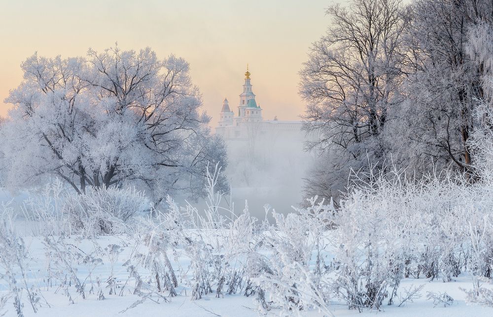 Январские мечты