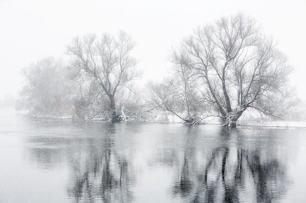 Весенние метаморфозы.