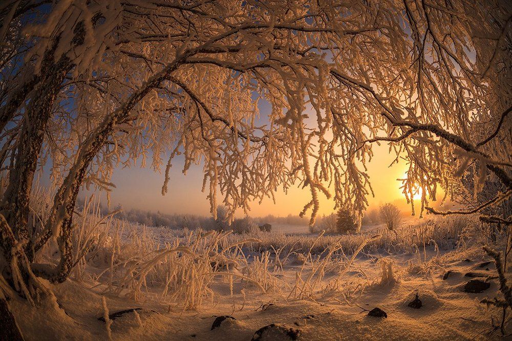 Вечернее солнце