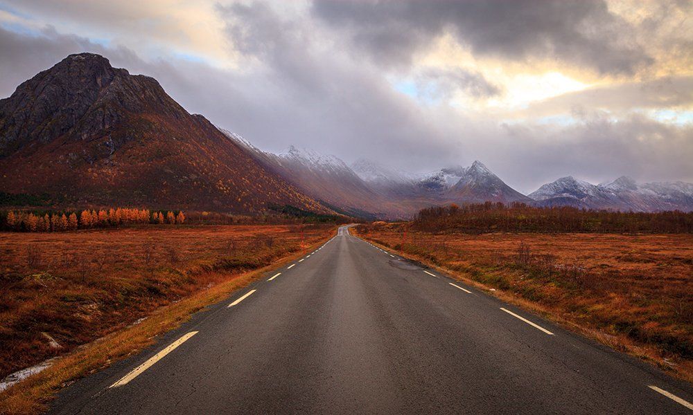 Желтые краски Скандинавии