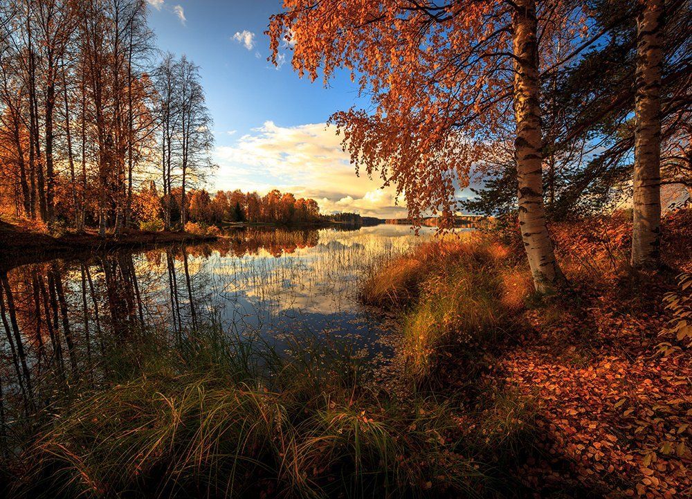 Рыжая осень