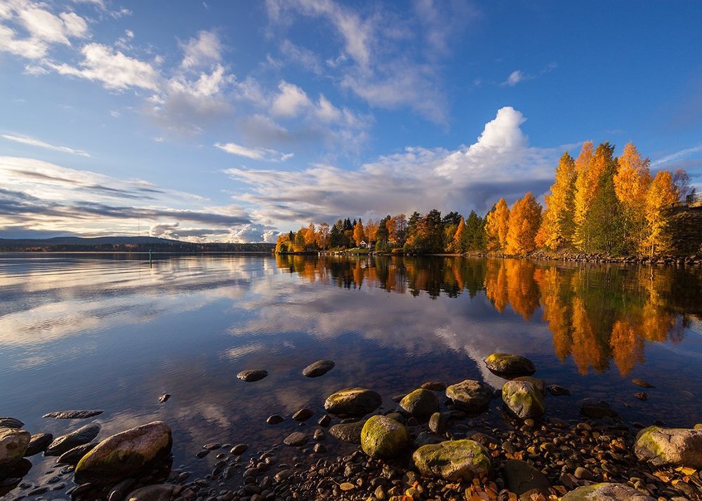 Яркая осень