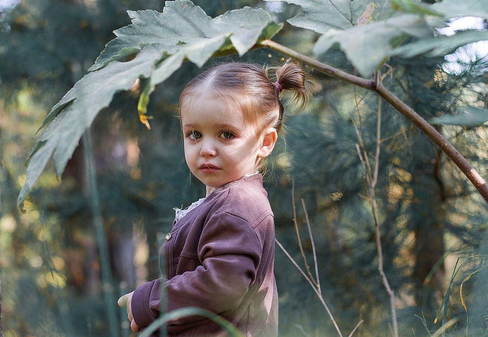 В центре внимания