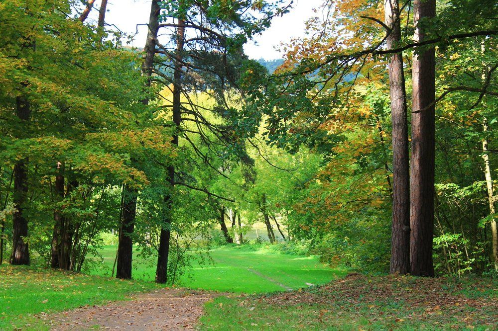 Фотография автора Алёна Лукачёва