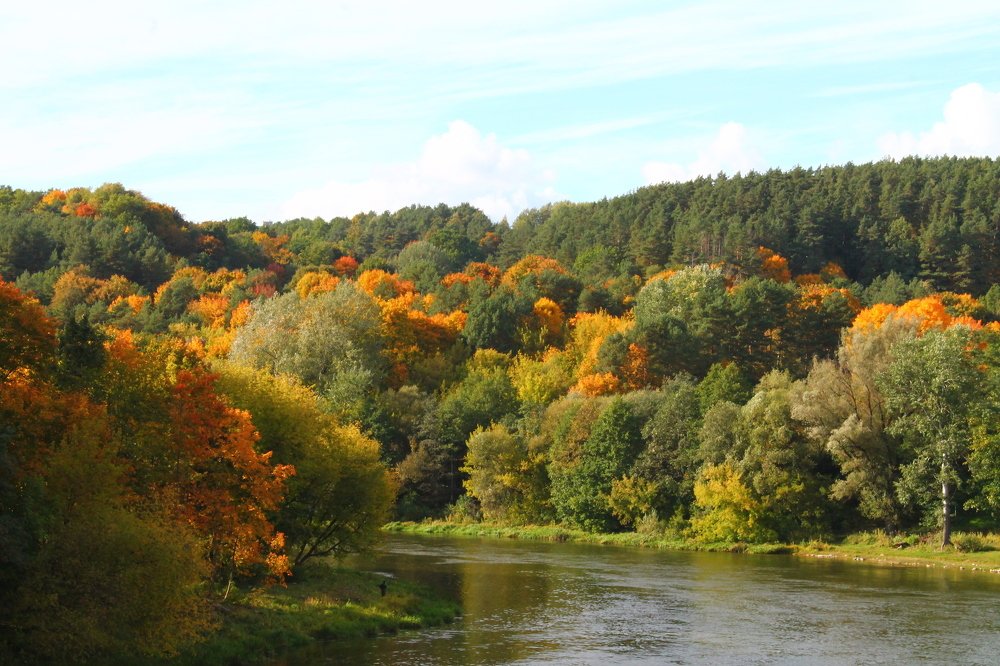 Фотография автора Алёна Лукачёва