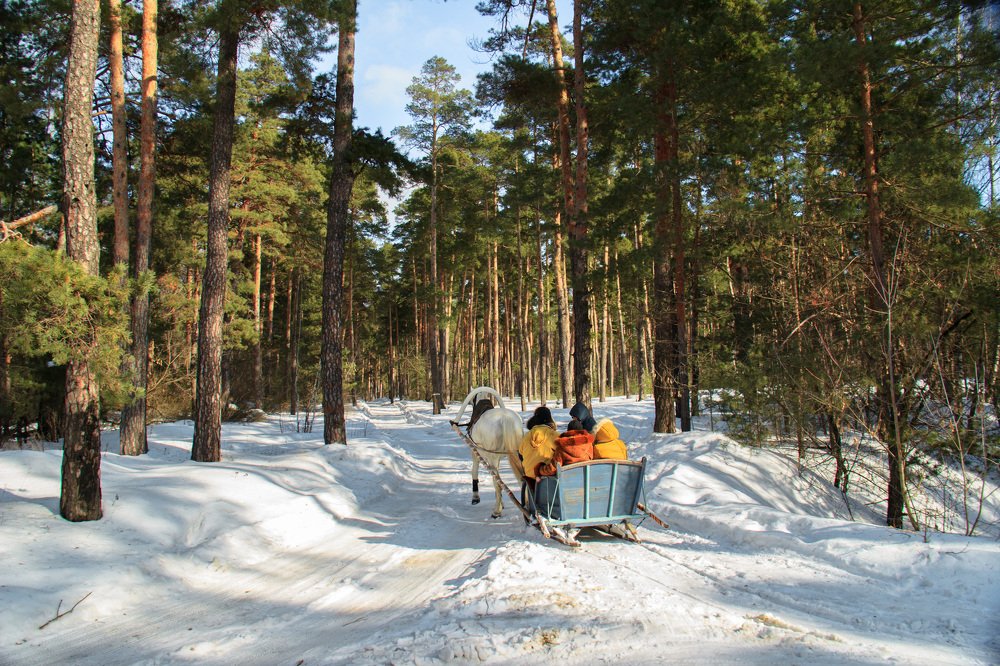 Прокатимся с ветерком!