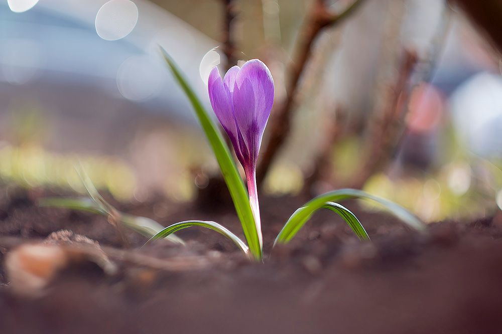 Photograph by Алексей