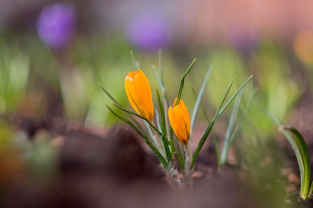 Photograph by Алексей