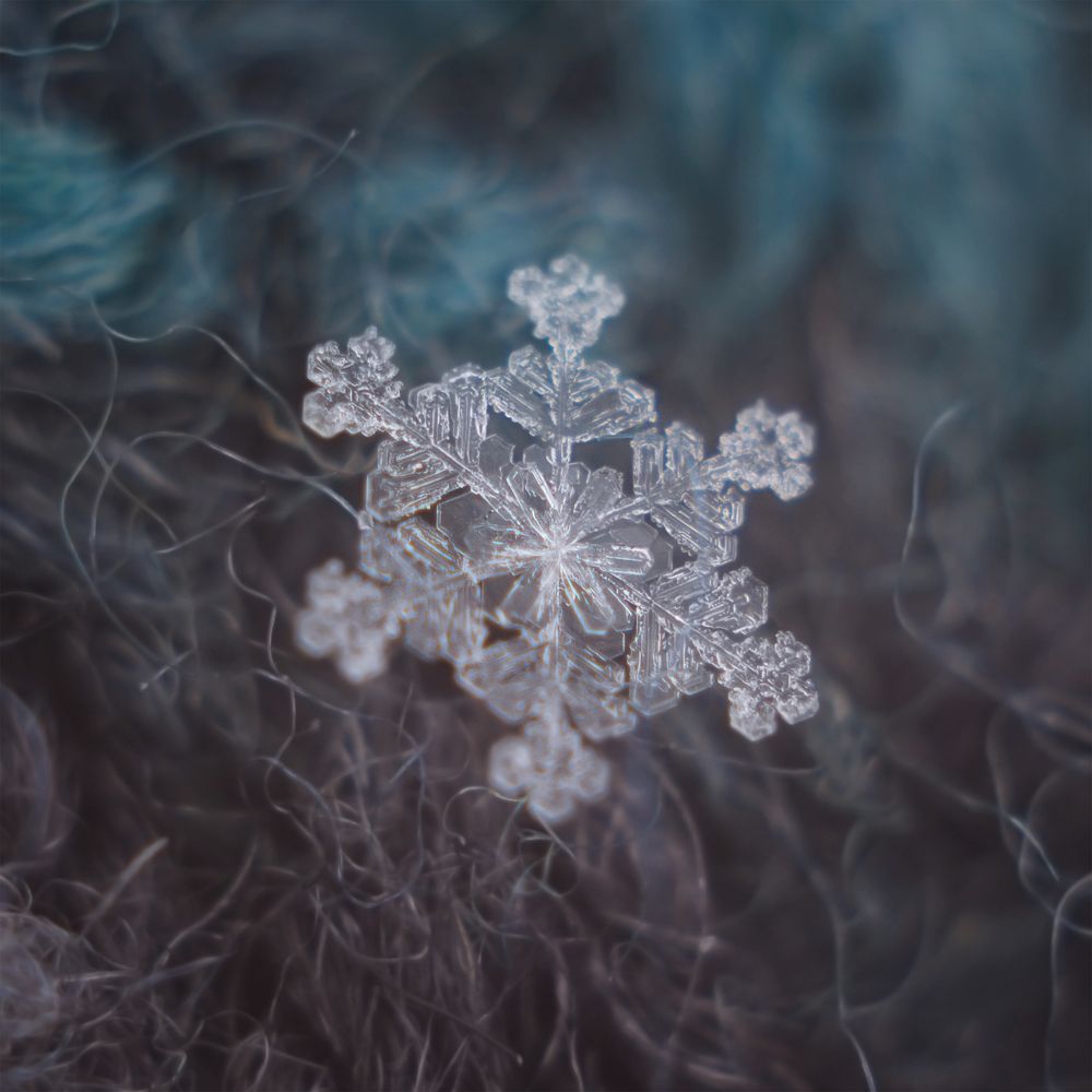 Photograph by Аксана Чалова