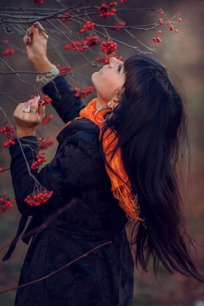 Осень в лесу