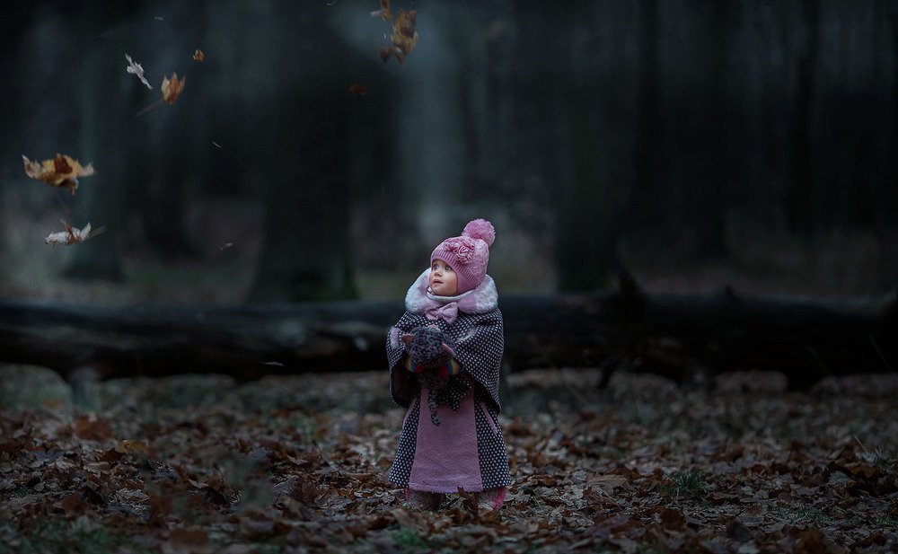 Сказочный лес