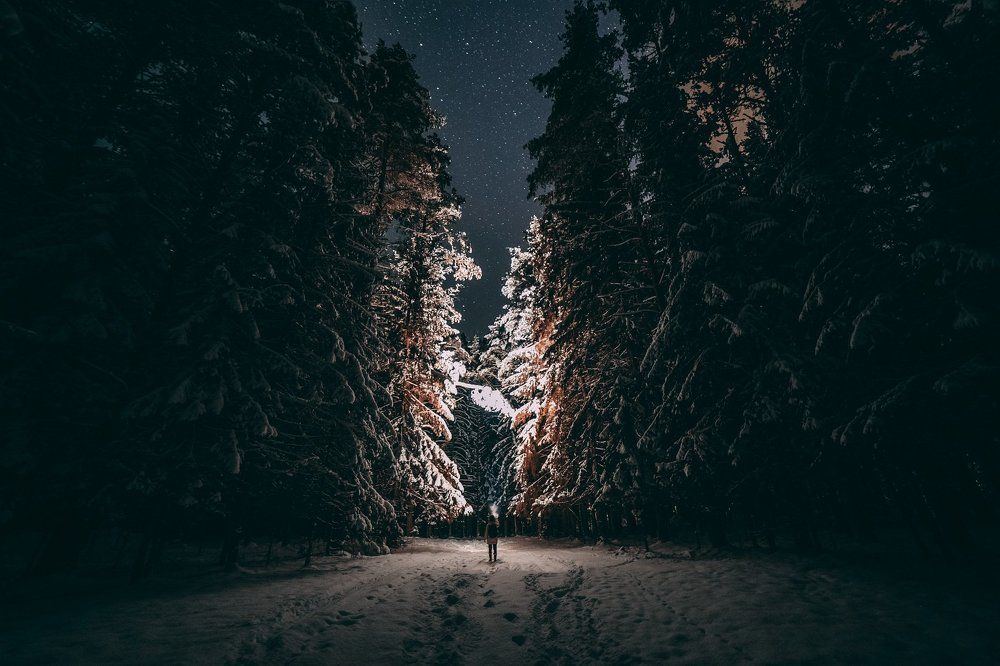 Путешествие в сказку