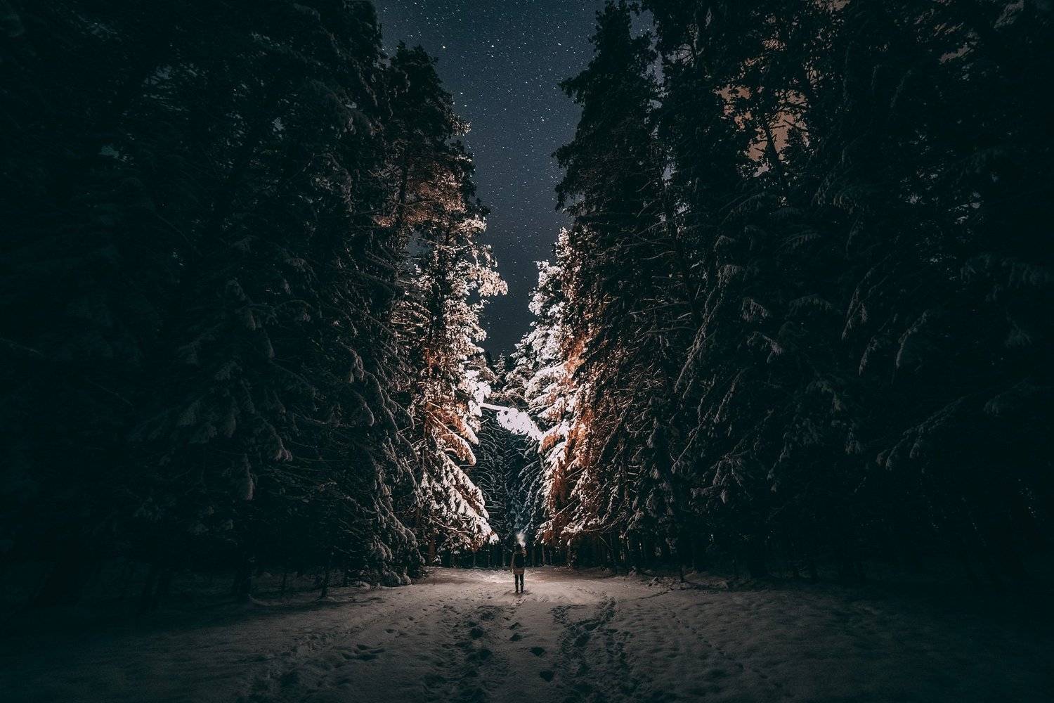 Путешествие в сказку