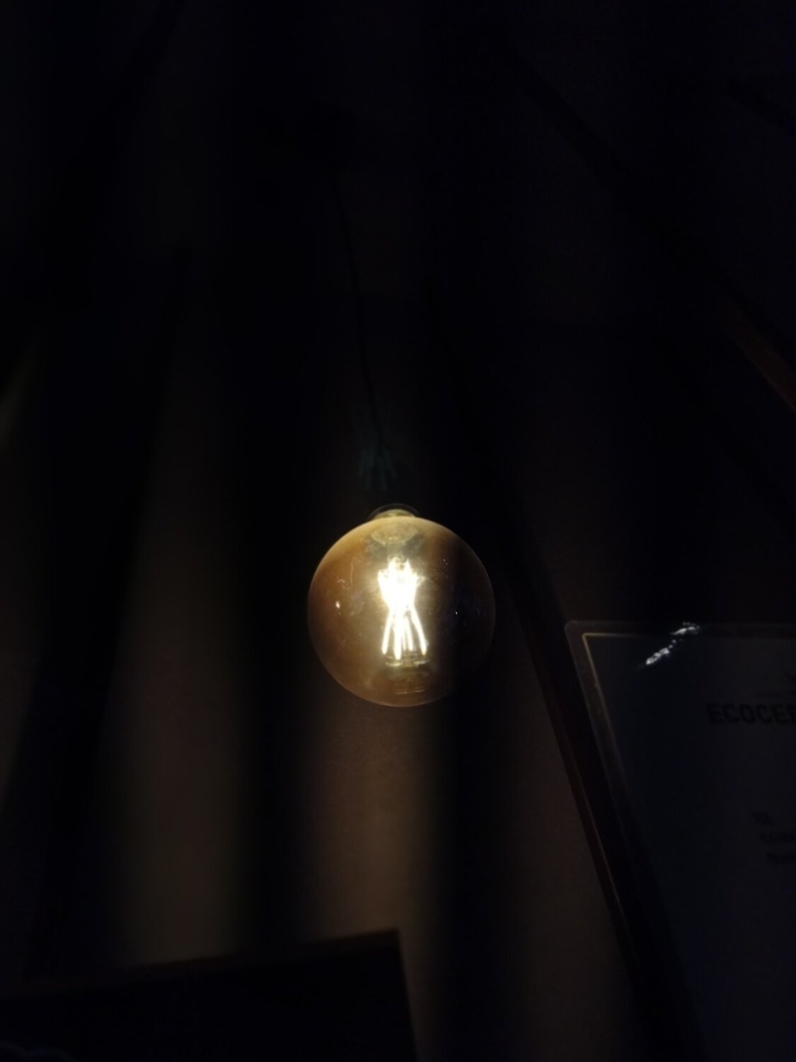 Light and life
