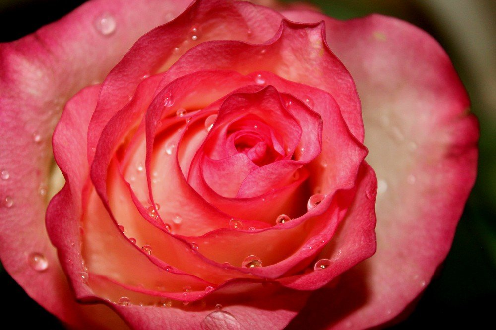 Фотография автора Алёна Лукачёва